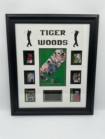 Framed Tiger Woods PGA Superstar Collage with Signature Verification