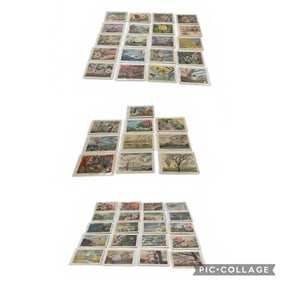 Flowers of the Fifty States Illustrated Postcards Art by Ken Haag Complete Set