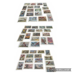 Fifty State Birds Illustrated Postcards Art by Ken Haag Complete Set