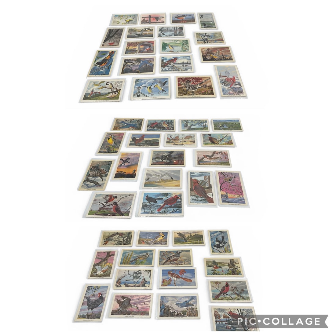 Fifty State Birds Illustrated Postcards Art by Ken Haag Complete Set (1 of 7)