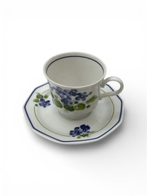 Winterling Marktleuthen Bavaria Floral Porcelain Cup and Saucer Set