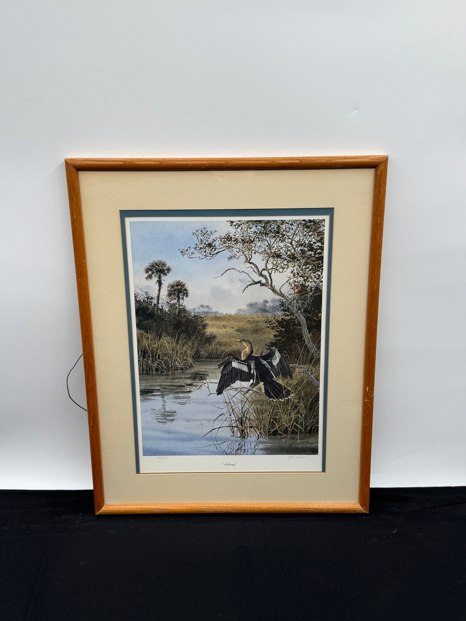 "Anhinga" by Phil Capen (American, Florida) Lithograph (1 of 3)