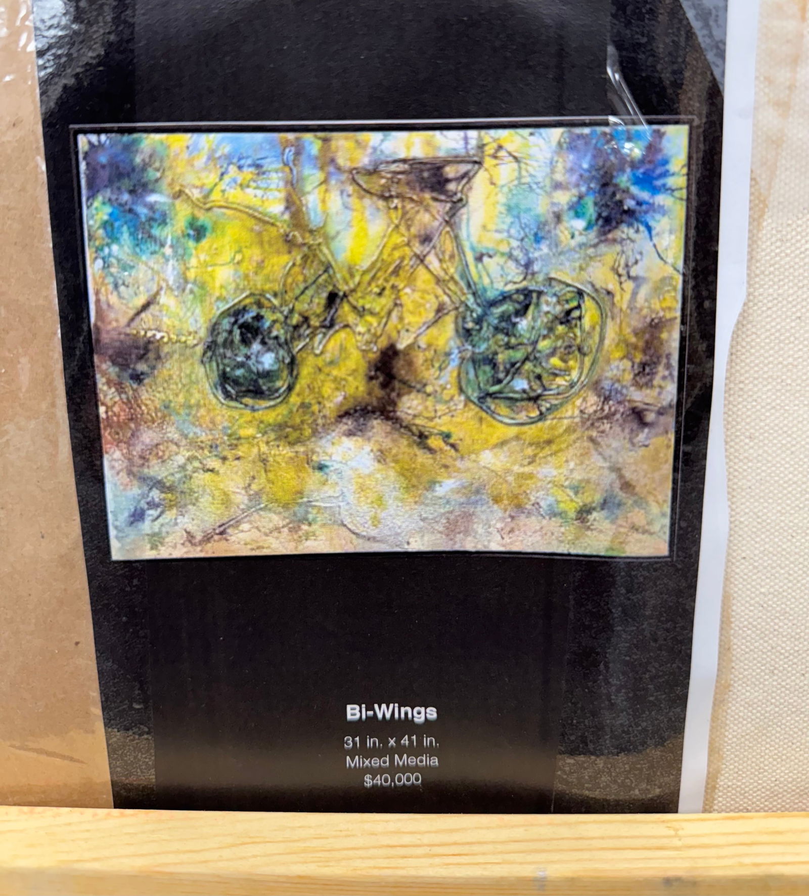 Pingo "Bi-Wings" - 2