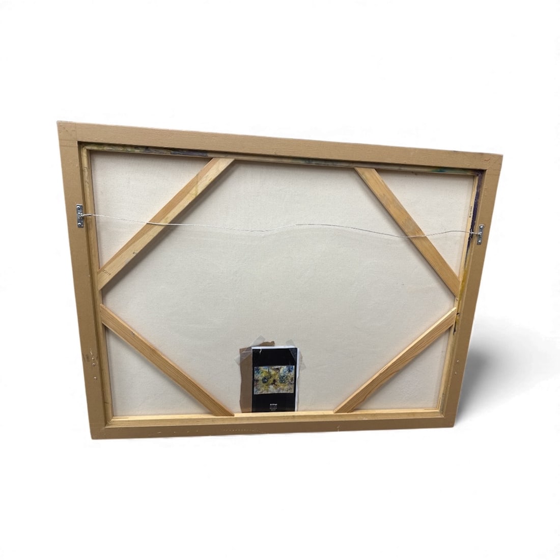 Pingo "Bi-Wings" - 3