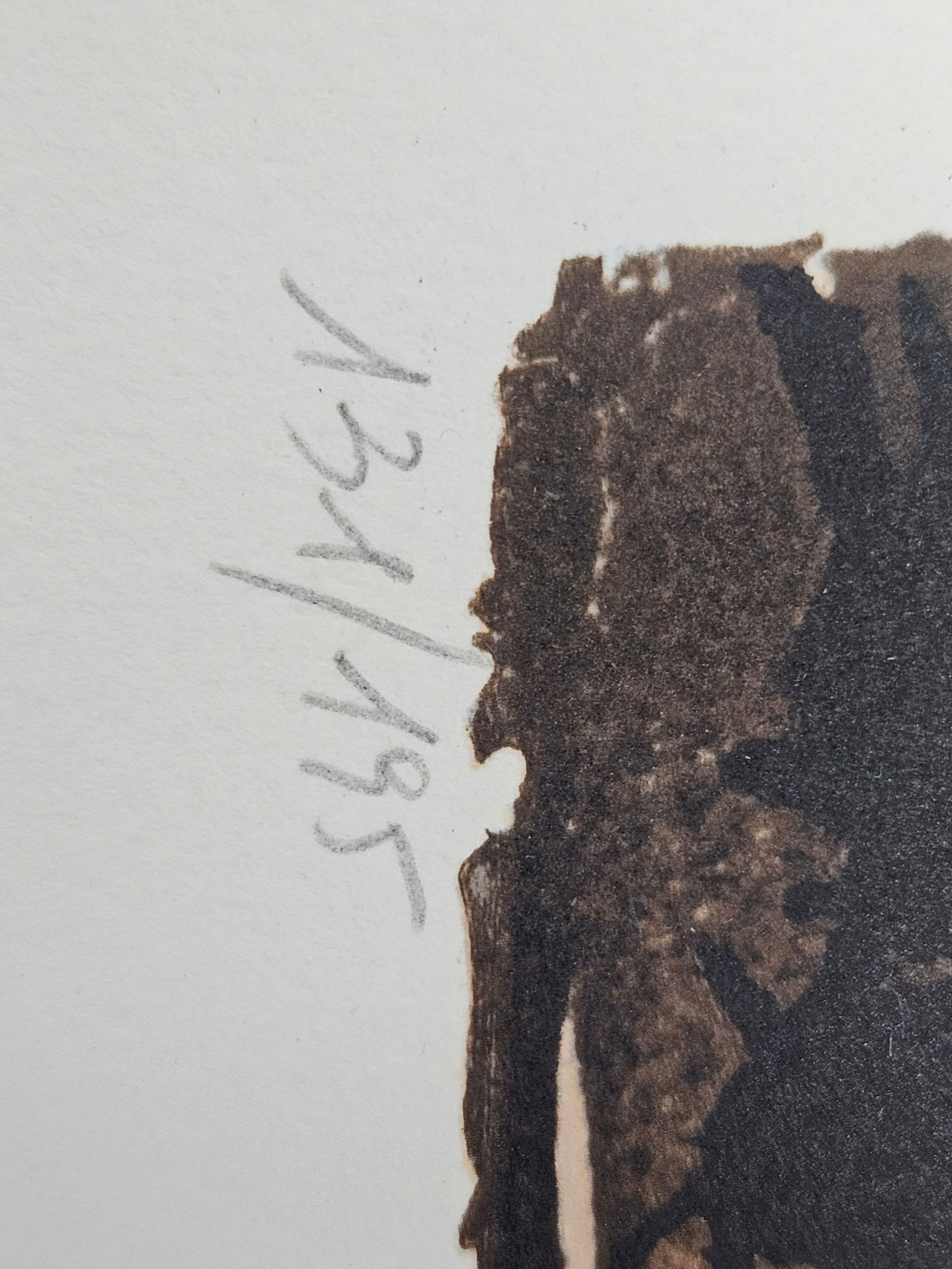 "Les Hydres (The Hydras)" by Salvador Dalí (Spain, 1904-1989) w/ Papers - 12