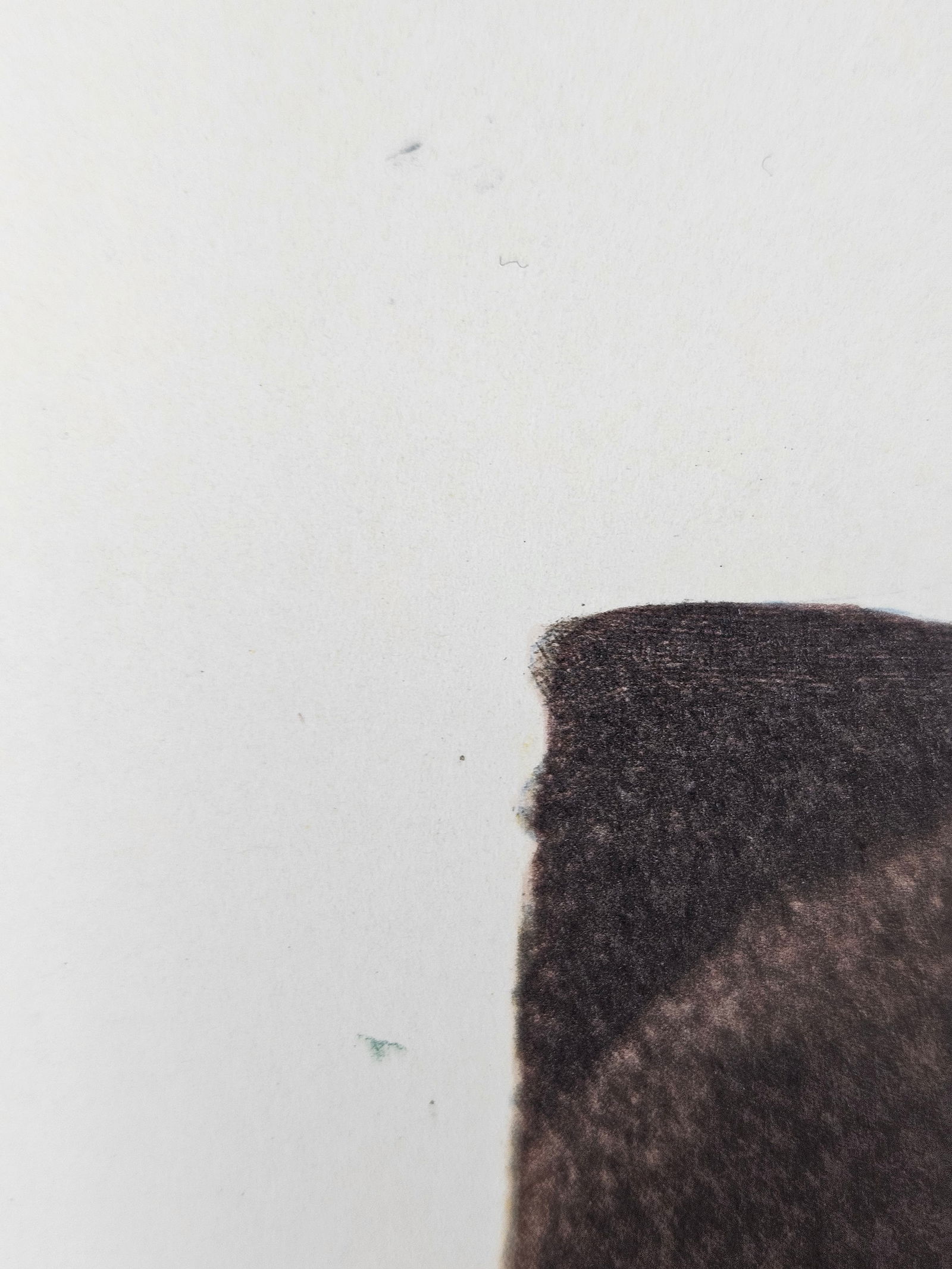 "Les Hydres (The Hydras)" by Salvador Dalí (Spain, 1904-1989) w/ Papers - 15