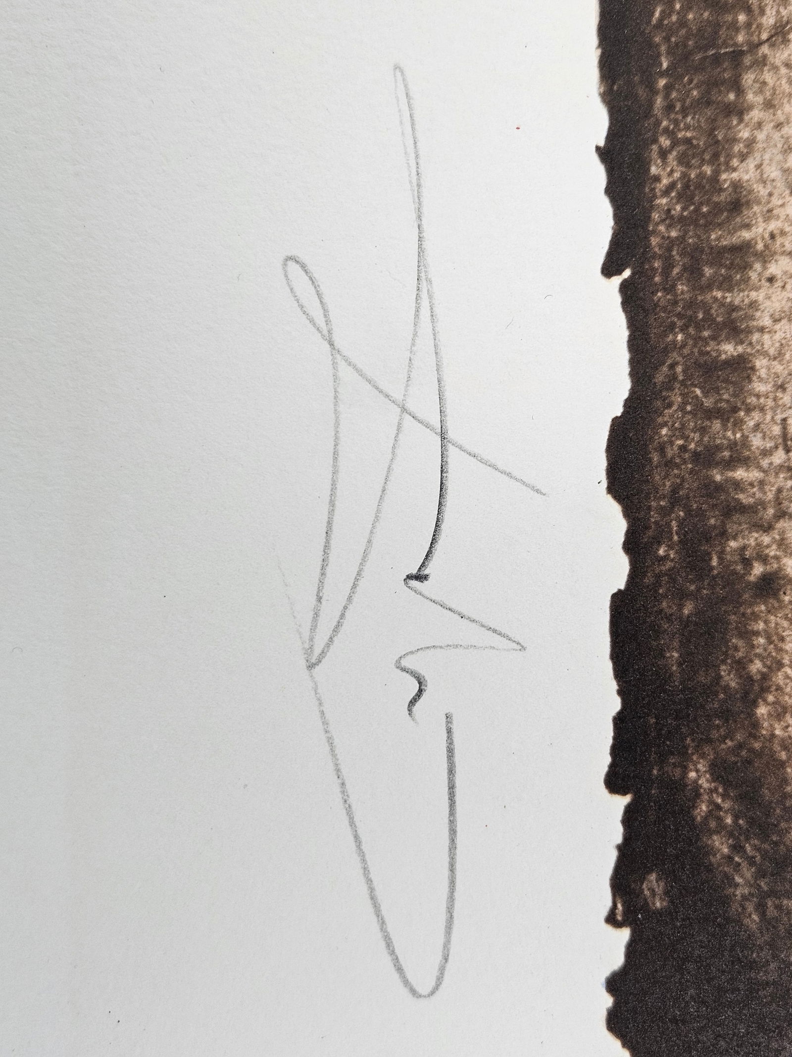 "Les Hydres (The Hydras)" by Salvador Dalí (Spain, 1904-1989) w/ Papers - 6