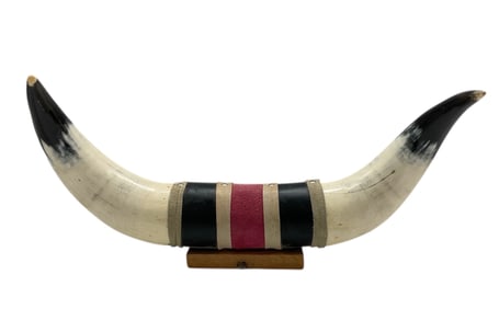 Mounted Set of Steer or Bull Horns