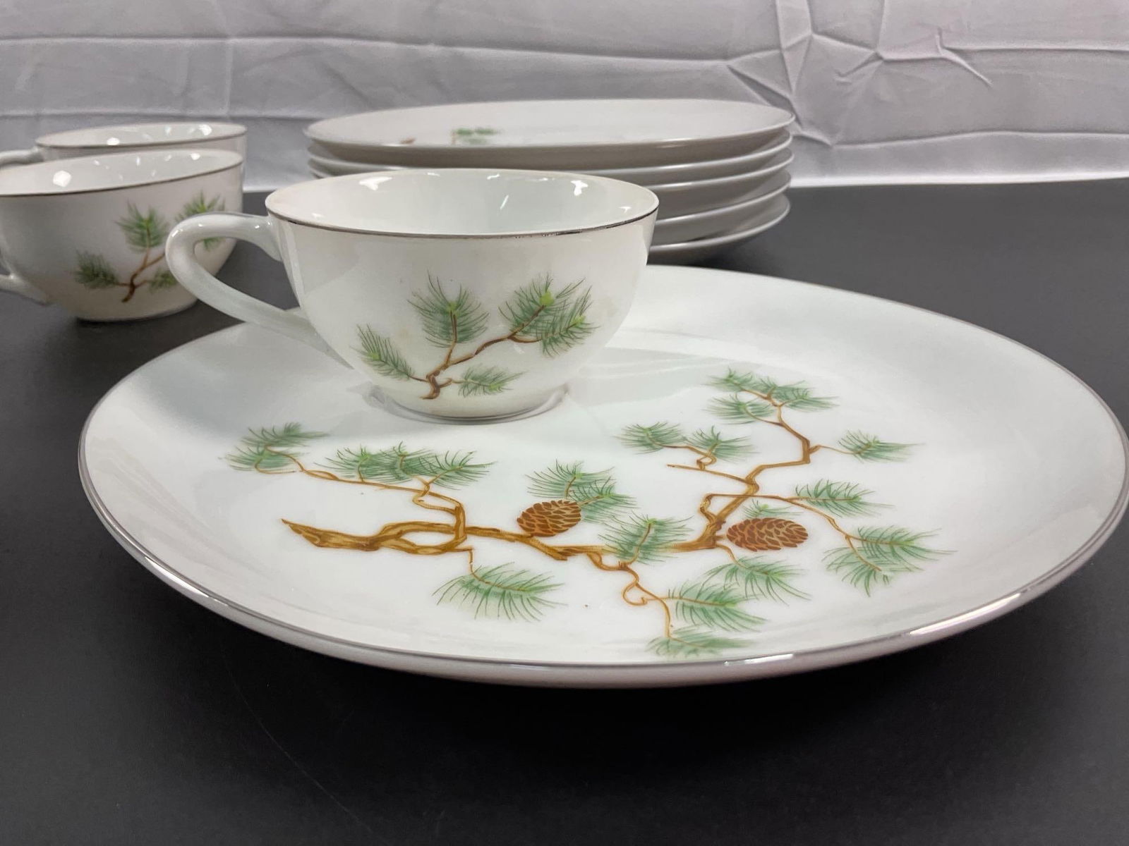 Laurel China "Pine" Pattern 6-Piece Dinnerware Set - 3