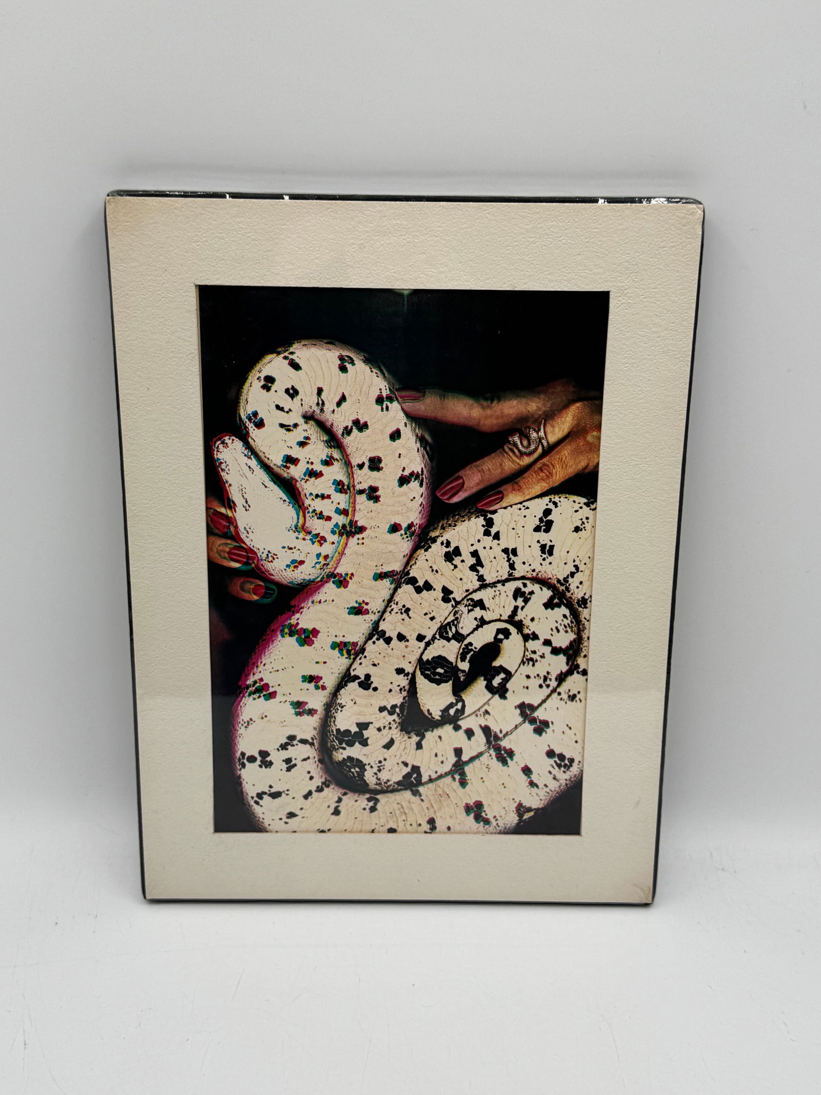 John Udvardy (Collaboration with Jennifer Phillips) “Boa Constrictor with Hand and Snake Ring: This striking photographic work titled “Boa Constrictor with Hand and Snake Ring” is by John Udvardy, created in collaboration with Jennifer Phillips, as noted on the original artist