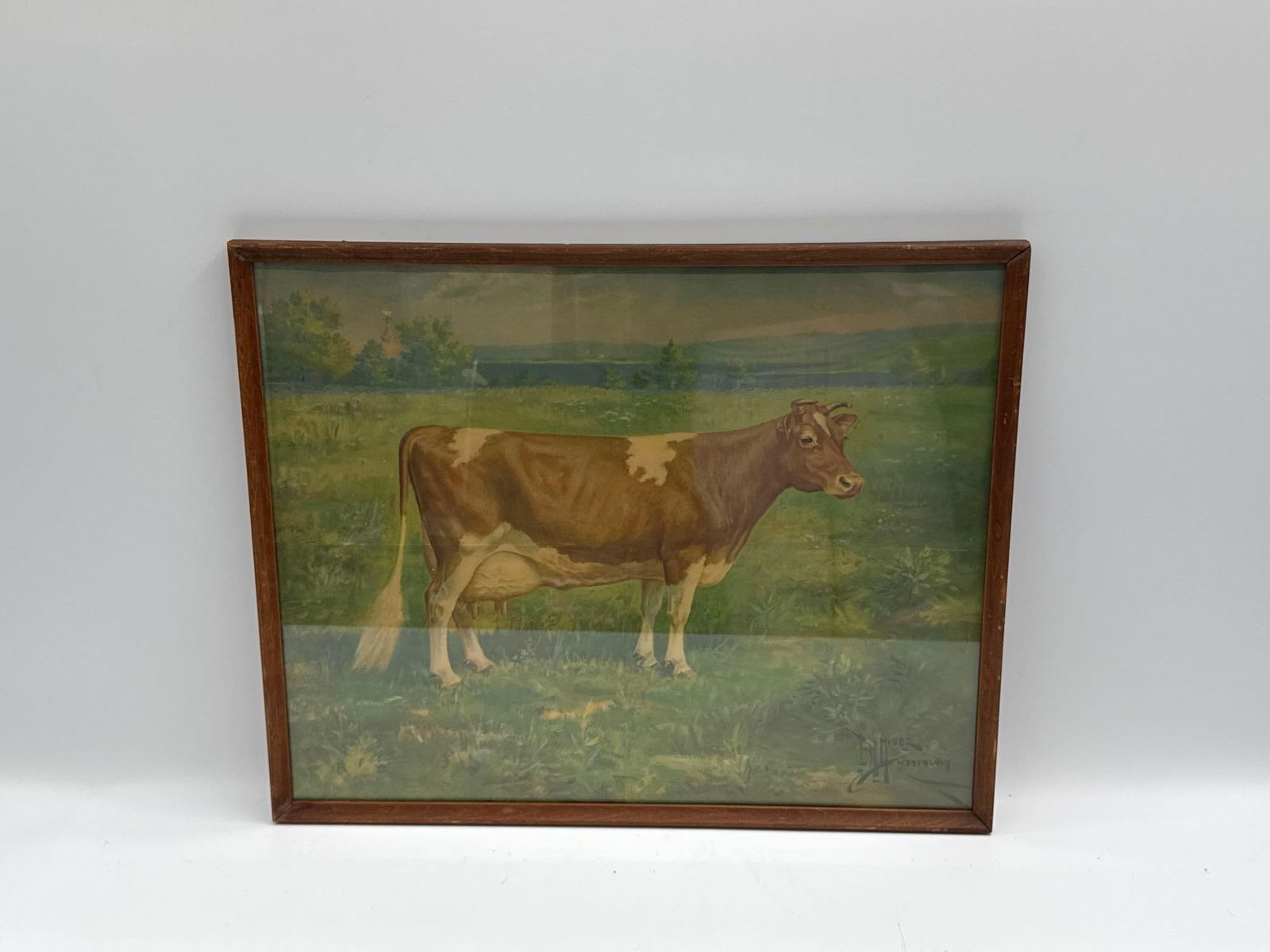 Vintage Chromolithograph of a Cow in Landscape:  Early 20th-century chromolithograph depicting a brown and white cow standing in a verdant landscape with green foliage. The work carries a rustic charm, typical of farmhouse wall art of the era.