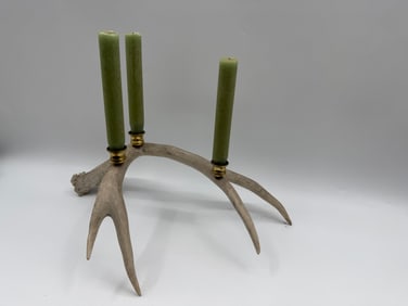 Antler Candle Holder