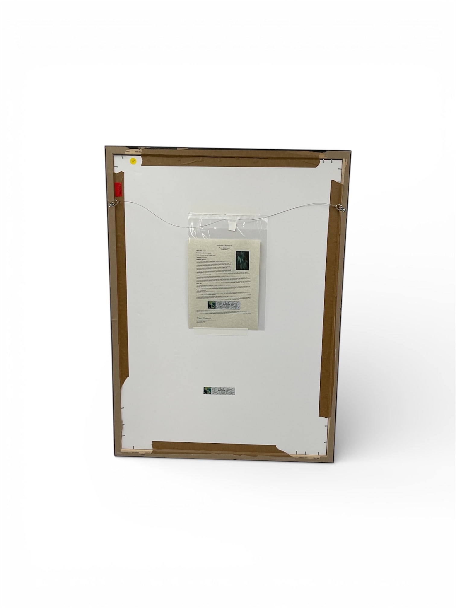 Sam Dobrow Touch Phantasm Collection Limited Edition Framed Giclée 2017 - 5