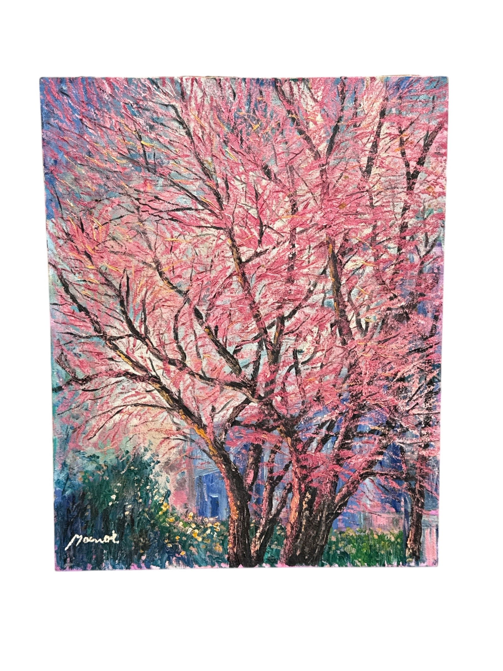 Manor Shadian Pink Blossoms Oil on Canvas 1992: Original oil on canvas painting titled Pink Blossoms by Manor Shadian, dated 1992. The composition depicts a flowering tree in full bloom, rendered with expressive, textured brushwork and vibrant