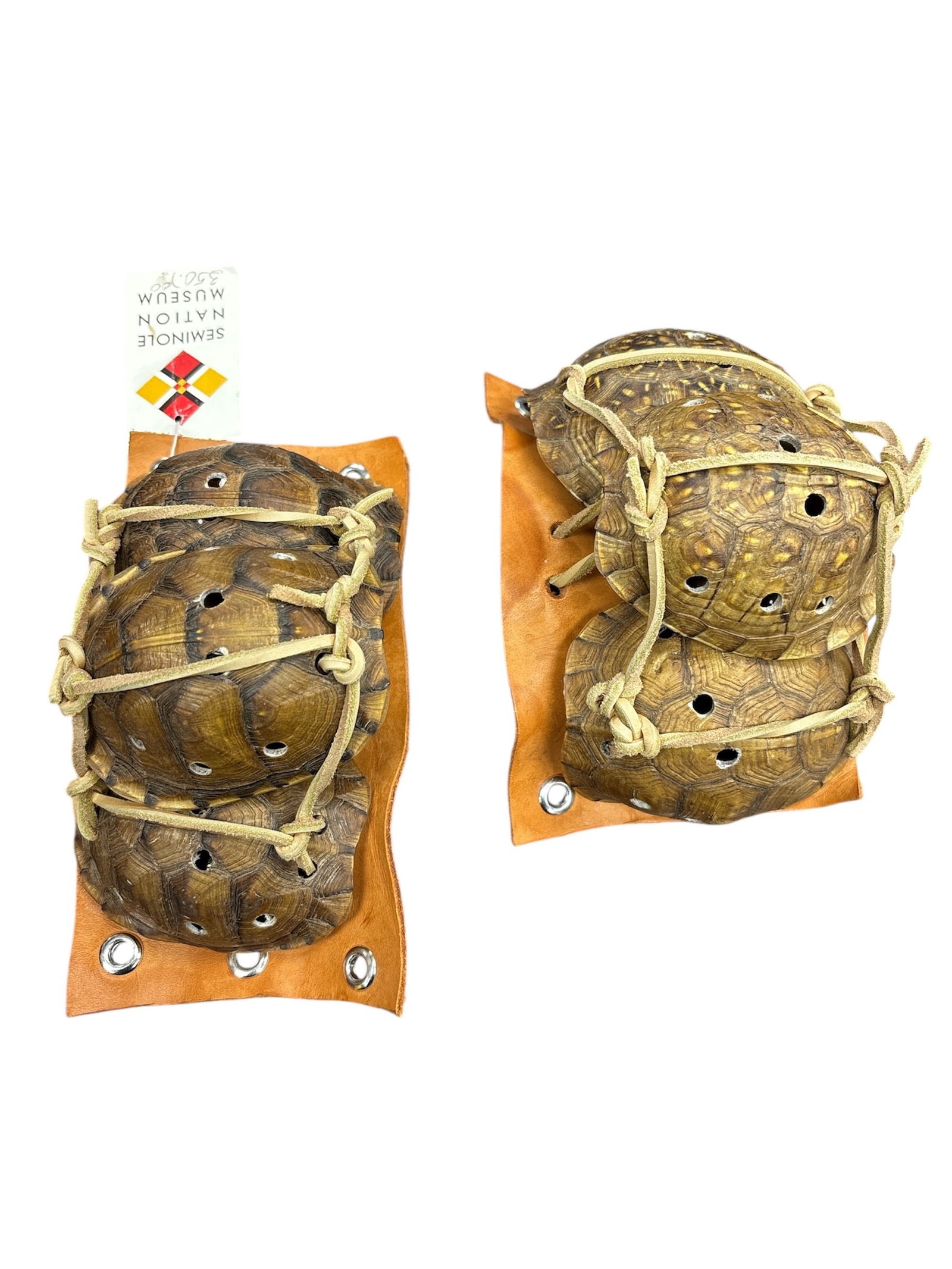 Leather Pad with 3 Turtle Shells Attached (1 of 3)