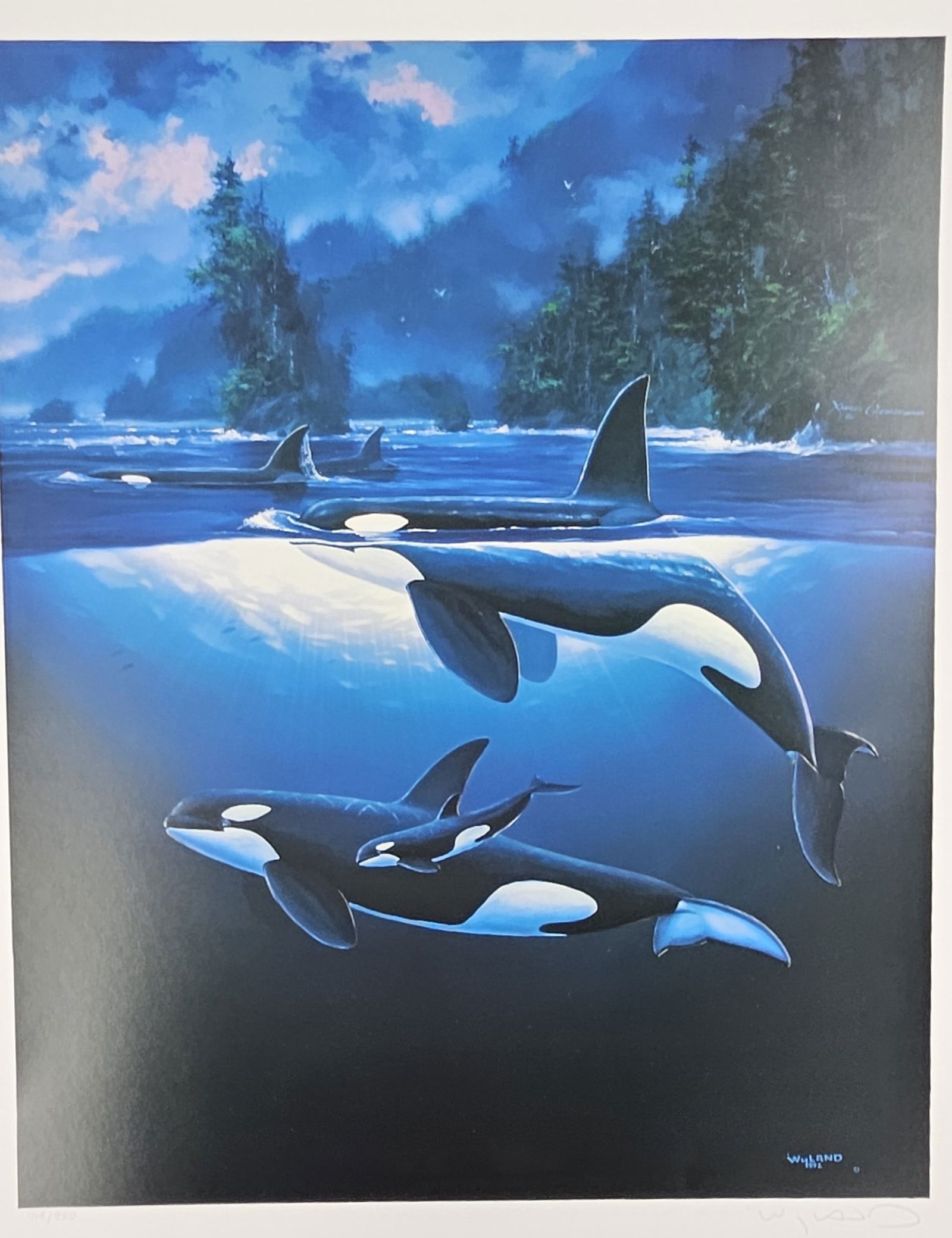 "Northen Waters" By Robert Wyland +James Coleman, Disney Embossed Serigraph on paper: Artist: Robert Wyland +James Coleman Title: Northen Waters Year: Dimensions: 21 x 15 in. Medium: Disney Embossed serigraph on paper Signature: Hand Signed in penci