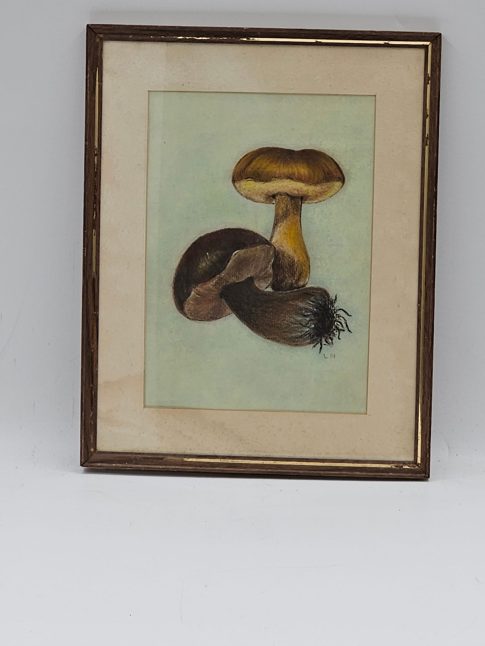 Botanical Mushroom Study — Signed “L.N. (1 of 4)