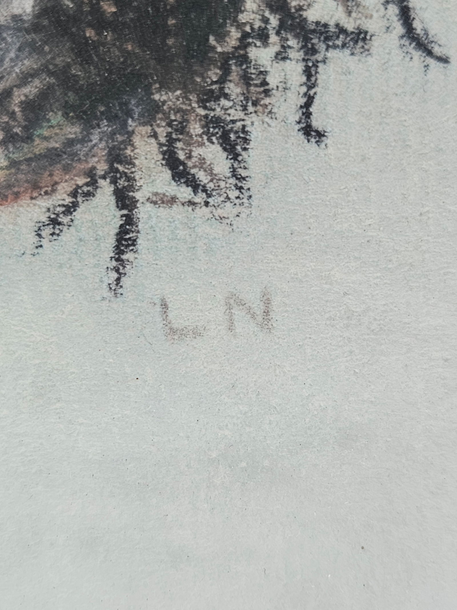 Botanical Mushroom Study — Signed “L.N. - 3