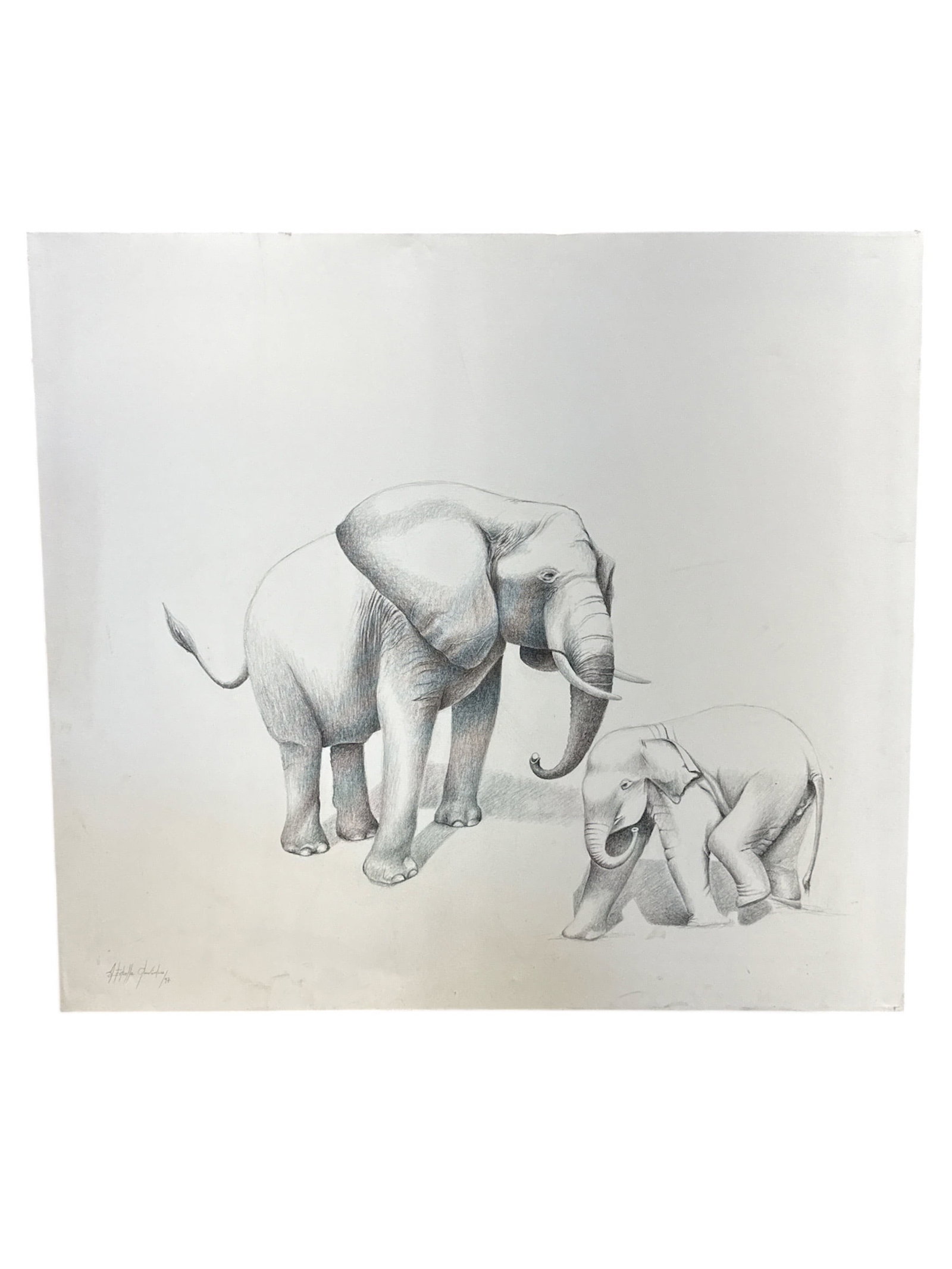 Milton Estrella Gavidia Elephant Study Drawing 1997: Expressive figurative drawing by Milton Estrella Gavidia depicting an adult elephant with a calf, rendered in a refined monochromatic palette. The composition emphasizes form, volume, and tenderness