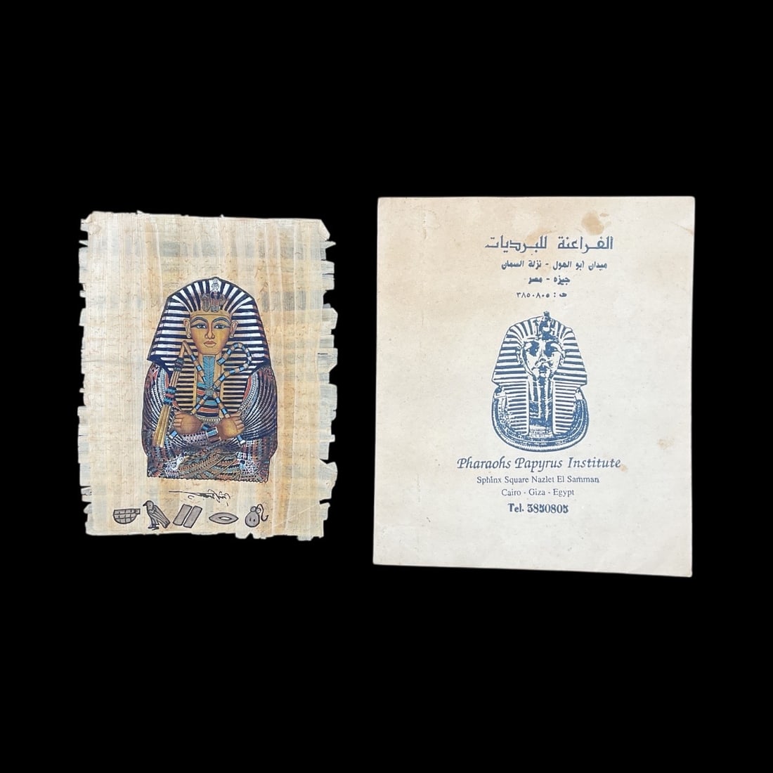 Pharaoh’s Portrait – Egyptian Papyrus (1 of 3)