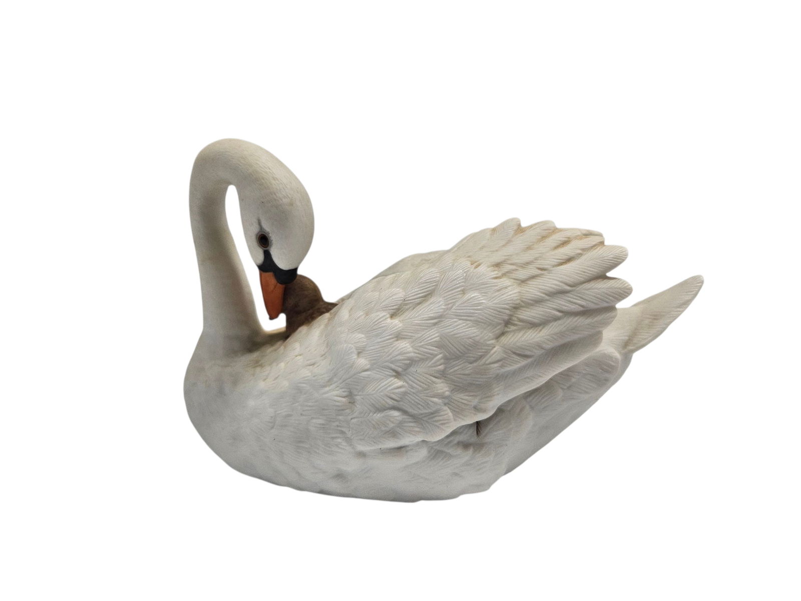 Nurturing Swan by COR 1987 (1 of 5)