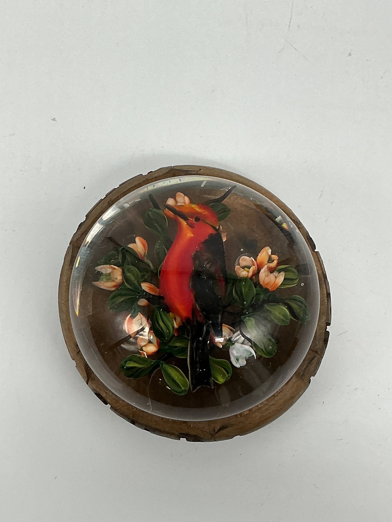 RARE Rick Ayotte Limited Edition Paperweight Red Bird and Flowers 12/50 (1 of 5)