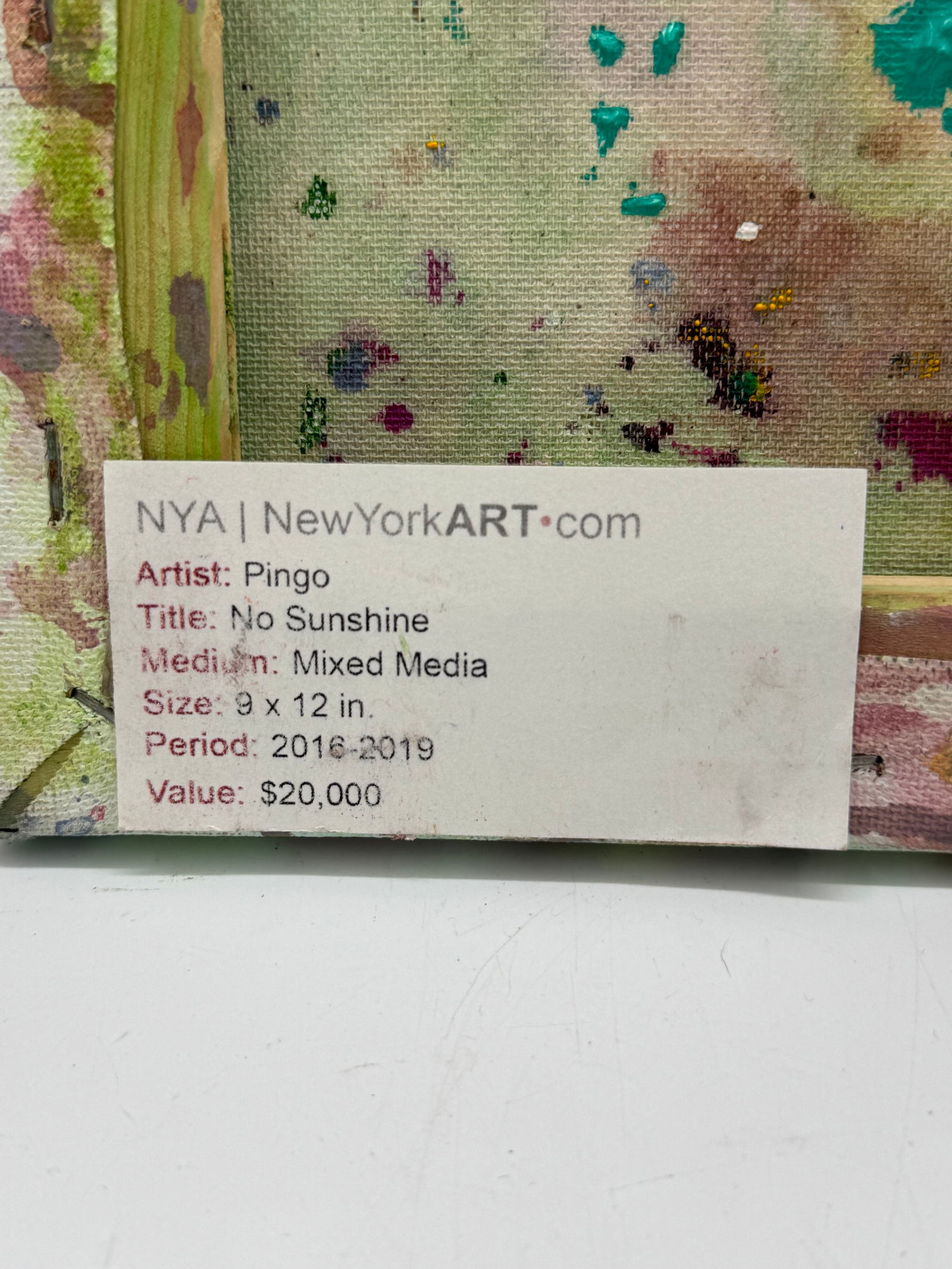 Pingo No Sunshine - 3