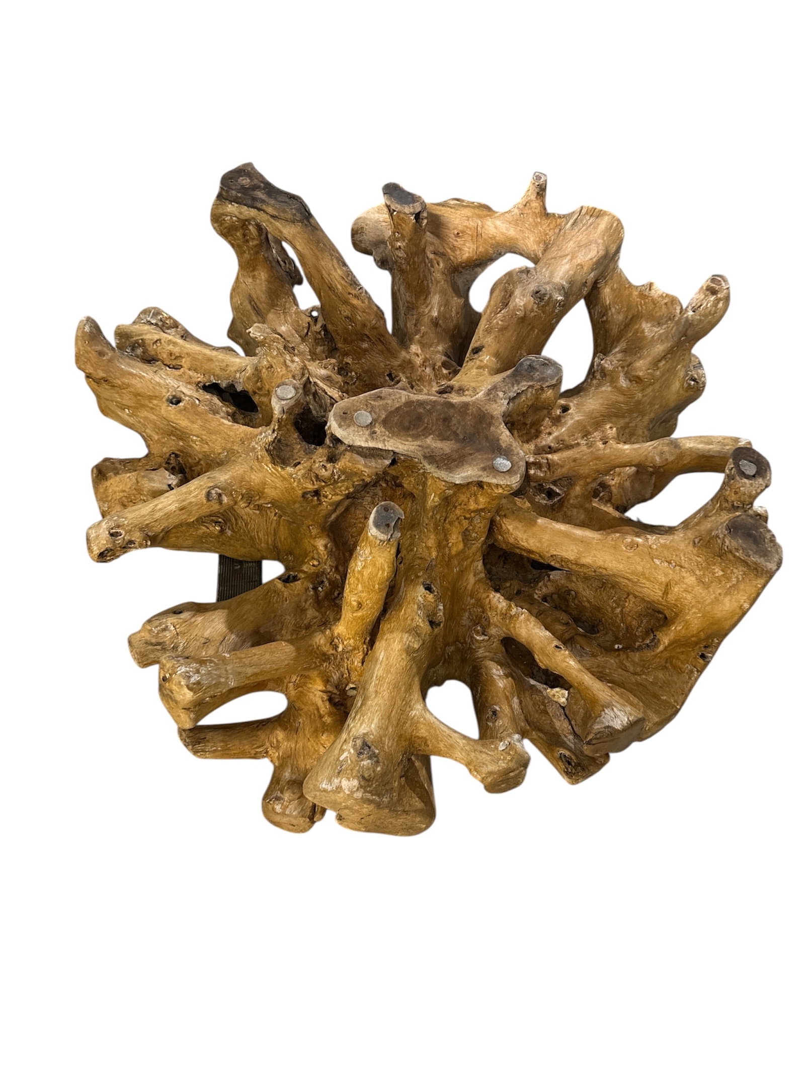 One-of-a-Kind Sculptural Teak Root Coffee Table (1 of 3)
