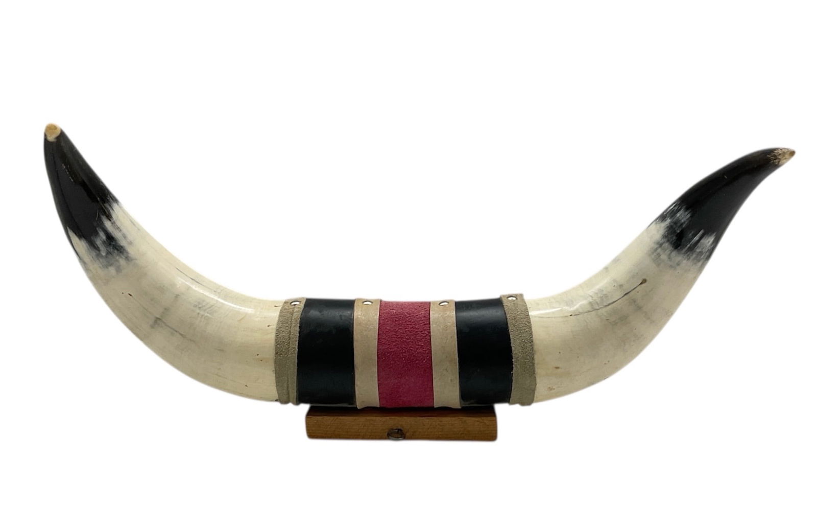 Mounted Set of Steer or Bull Horns: Mounted set of steer or bull h