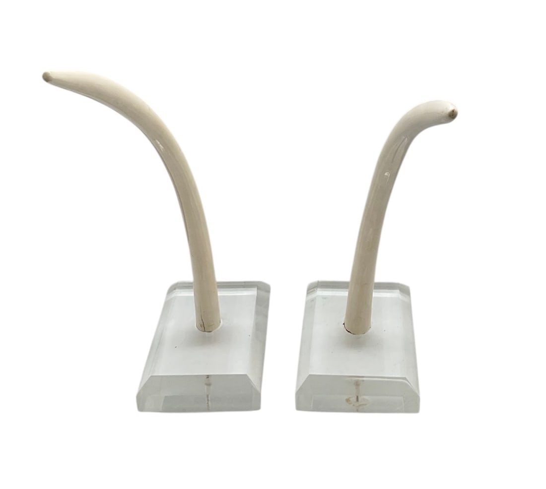 Set of Modern Carvings: Modern & Unique carvings, beautiful addition to any home. Dimensions: 25/24x12x8 