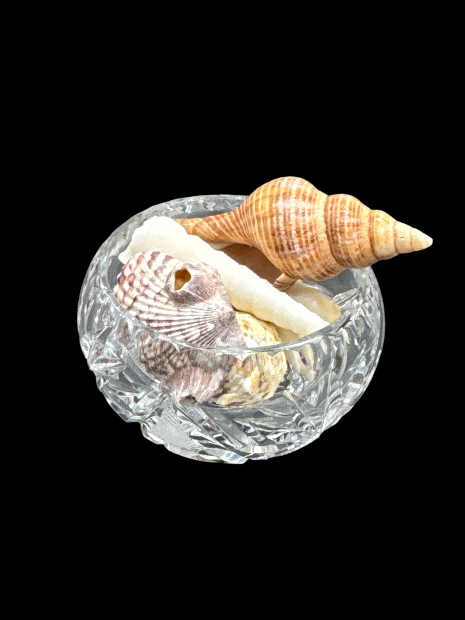 Cut Glass Bowl with Assorted Decorative Seashells (1 of 2)