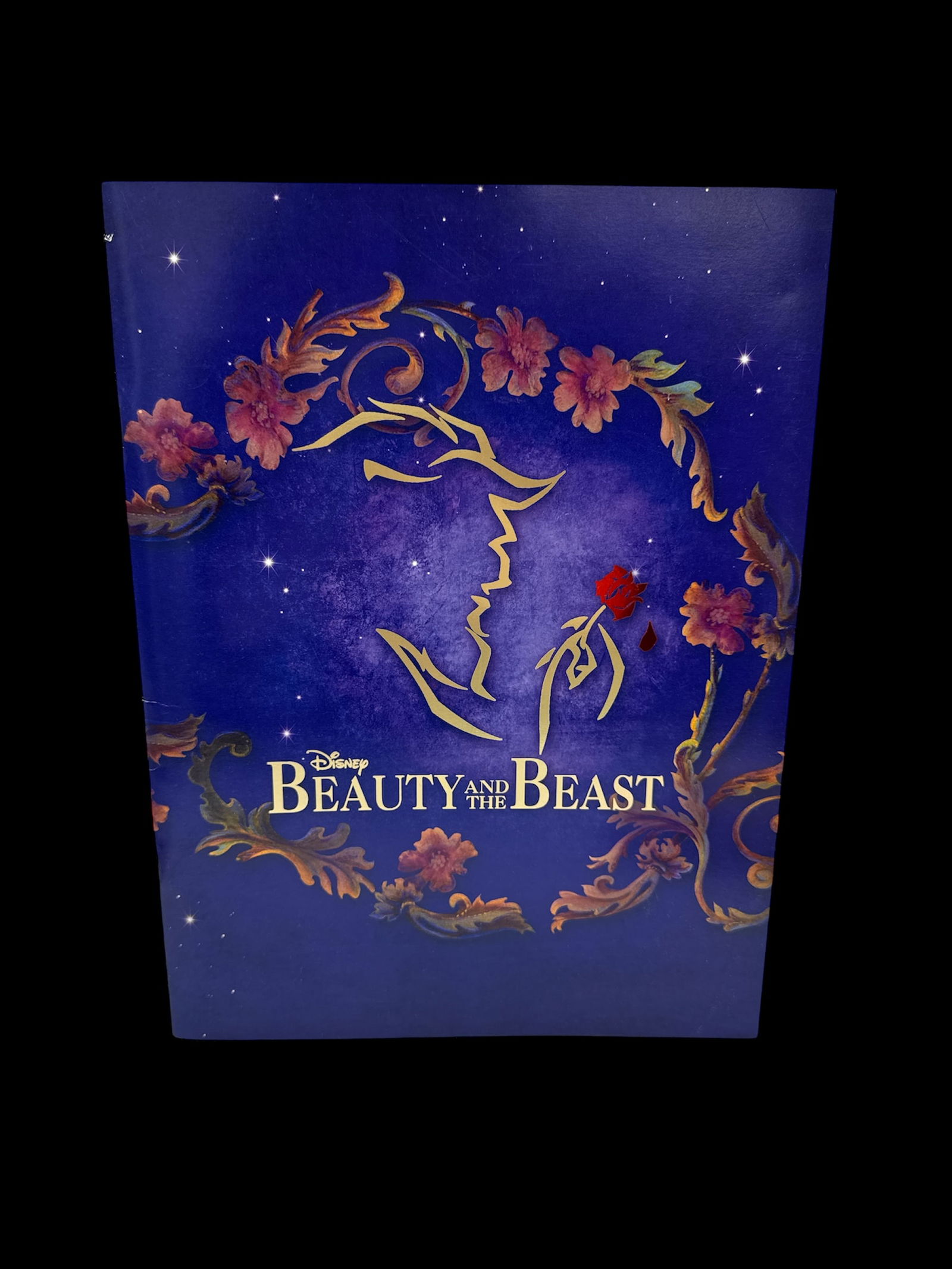 Beauty and the Beast Program: Disney's Beauty and the Beast program. Features the iconic imagery from the musical. Dimensions approximately 12 x 9.5 inches.