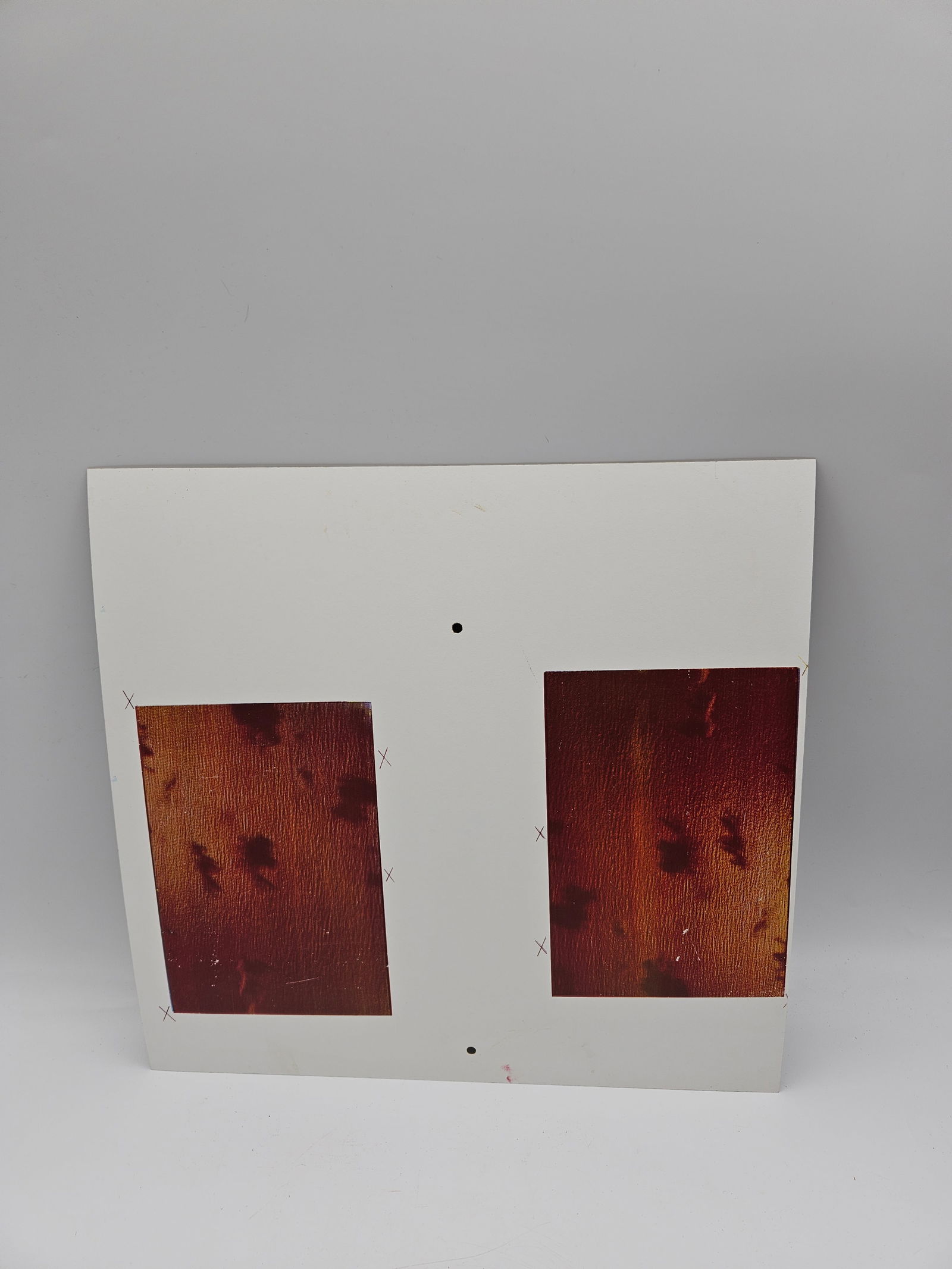 Print on board: Rectangular board featuring two printed photographic images depicting rich reddish-brown wood grain textures. Likely produced as part of a printing or photographic color proof process rather than a