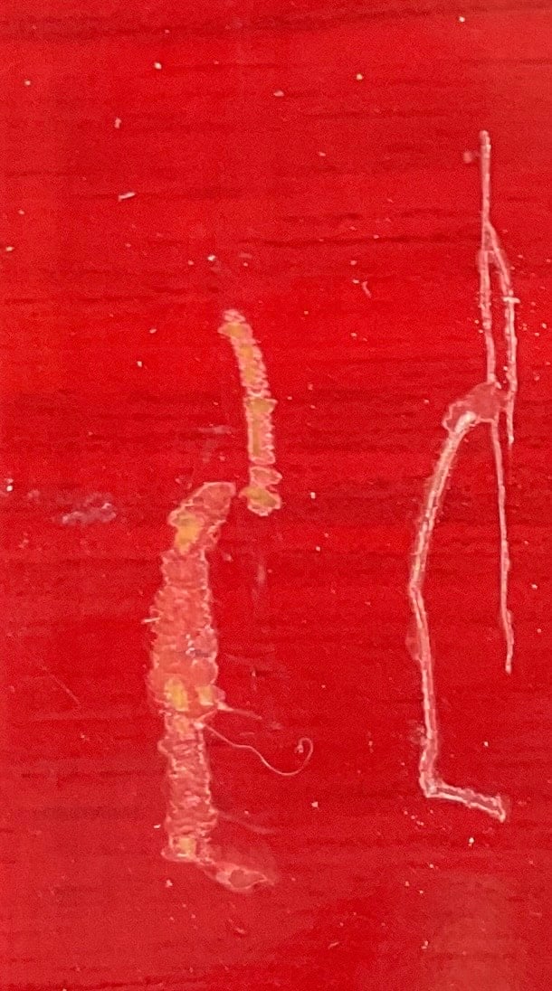 Framed Asian Calligraphy Artwork - 3