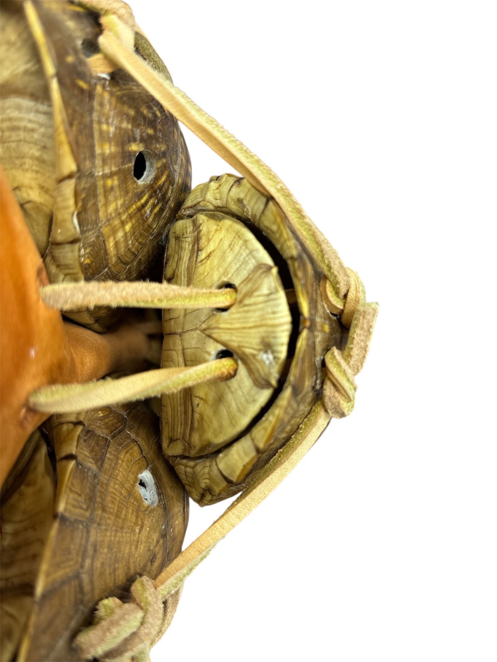 Leather Pad with 3 Turtle Shells Attached - 3