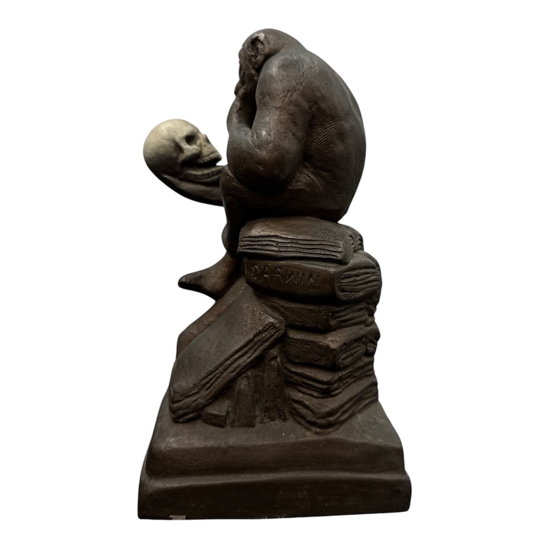 Darwin Monkey Evolution Figural Sculpture - 2