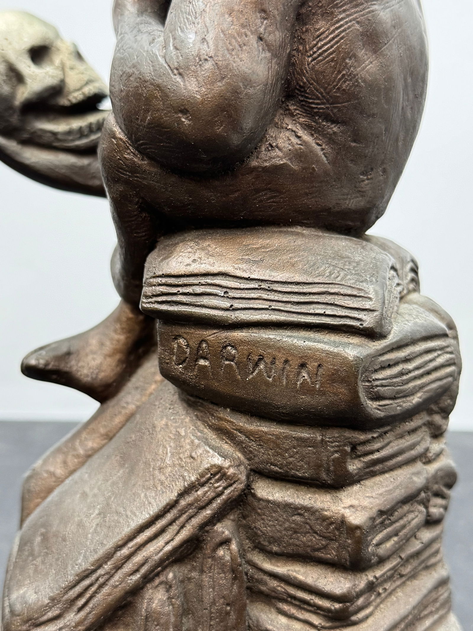 Darwin Monkey Evolution Figural Sculpture - 3