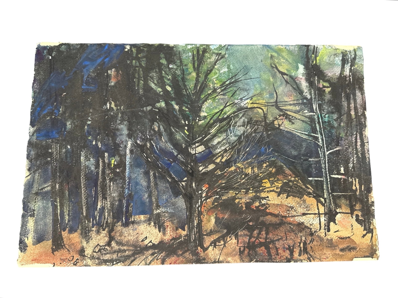 Twilight Silhouette: An Atmospheric Woodland Study (1 of 3)