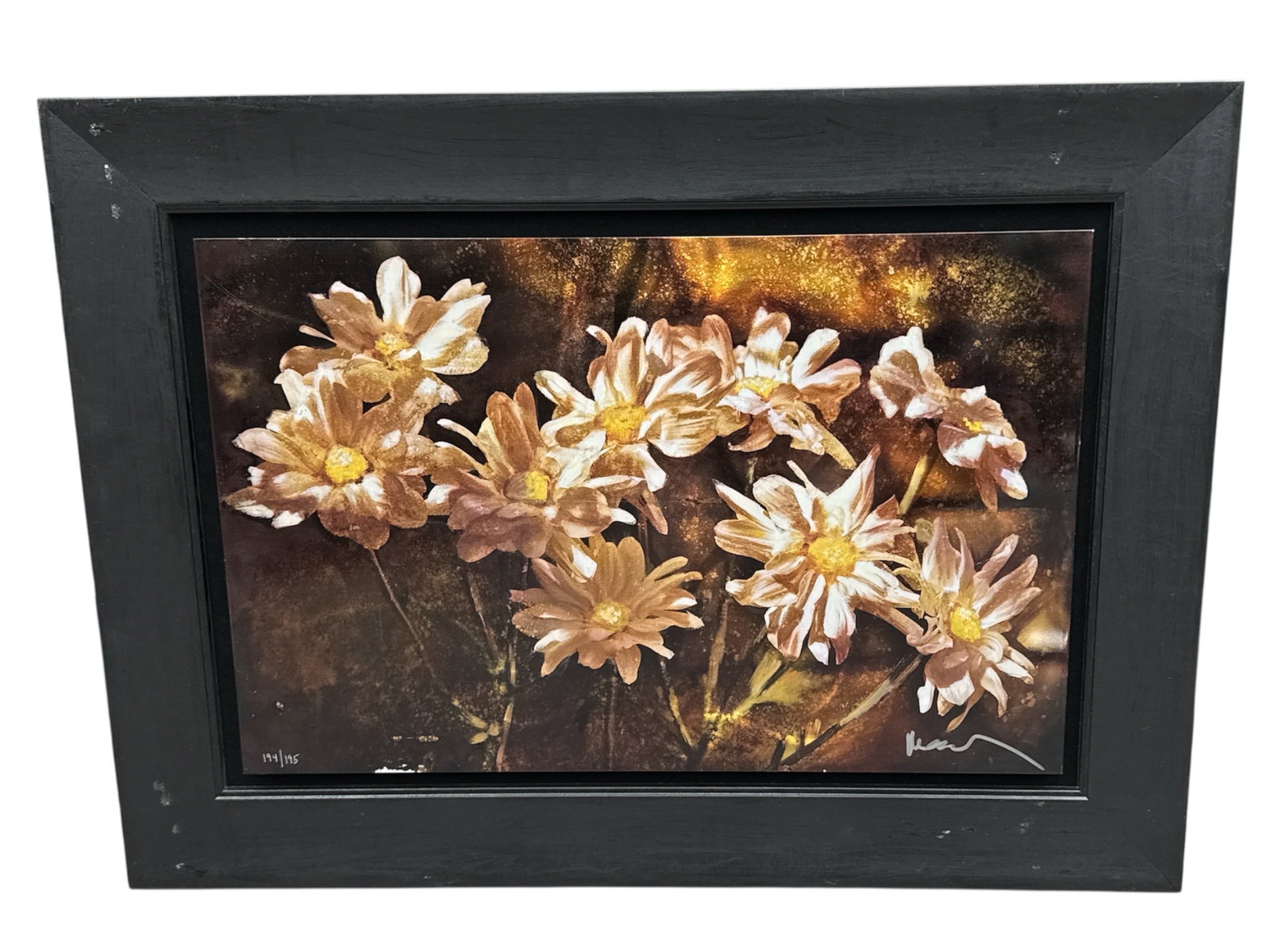 "Daisy Splendor" by Noah Limited Edition Print on Aluminum: Description:Limited edition floral artwork titled “Daisy Splendor” by Noah