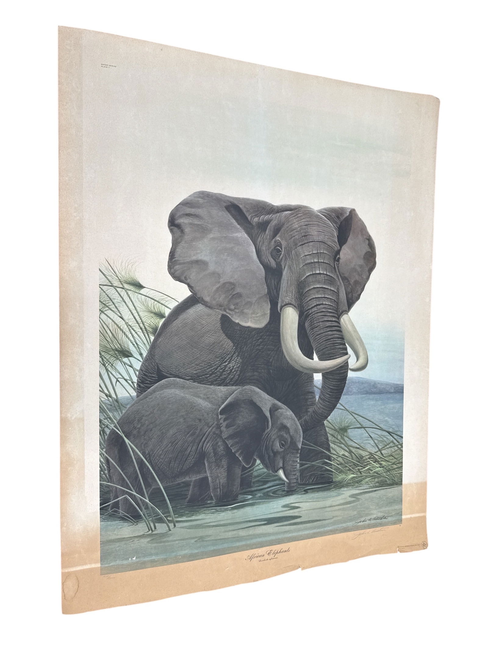 African Elephants Safari Series Plate II Limited Edition Print: Offered is a limited edition wildlife print titled African Elephants Loxodonta africana from the Safari Series Plate II by acclaimed wildlife artist John A Ruthven. The composition depicts a majestic