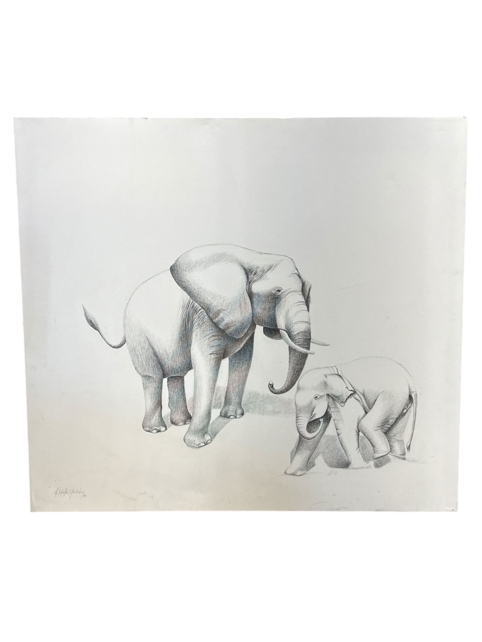 Milton Estrella Gavidia Elephant Study Drawing 1997: Expressive figurative drawing by Milton Estrella Gavidia depicting an adult elephant with a calf, rendered in a refined monochromatic palette. The composition emphasizes form, volume, and tenderness t