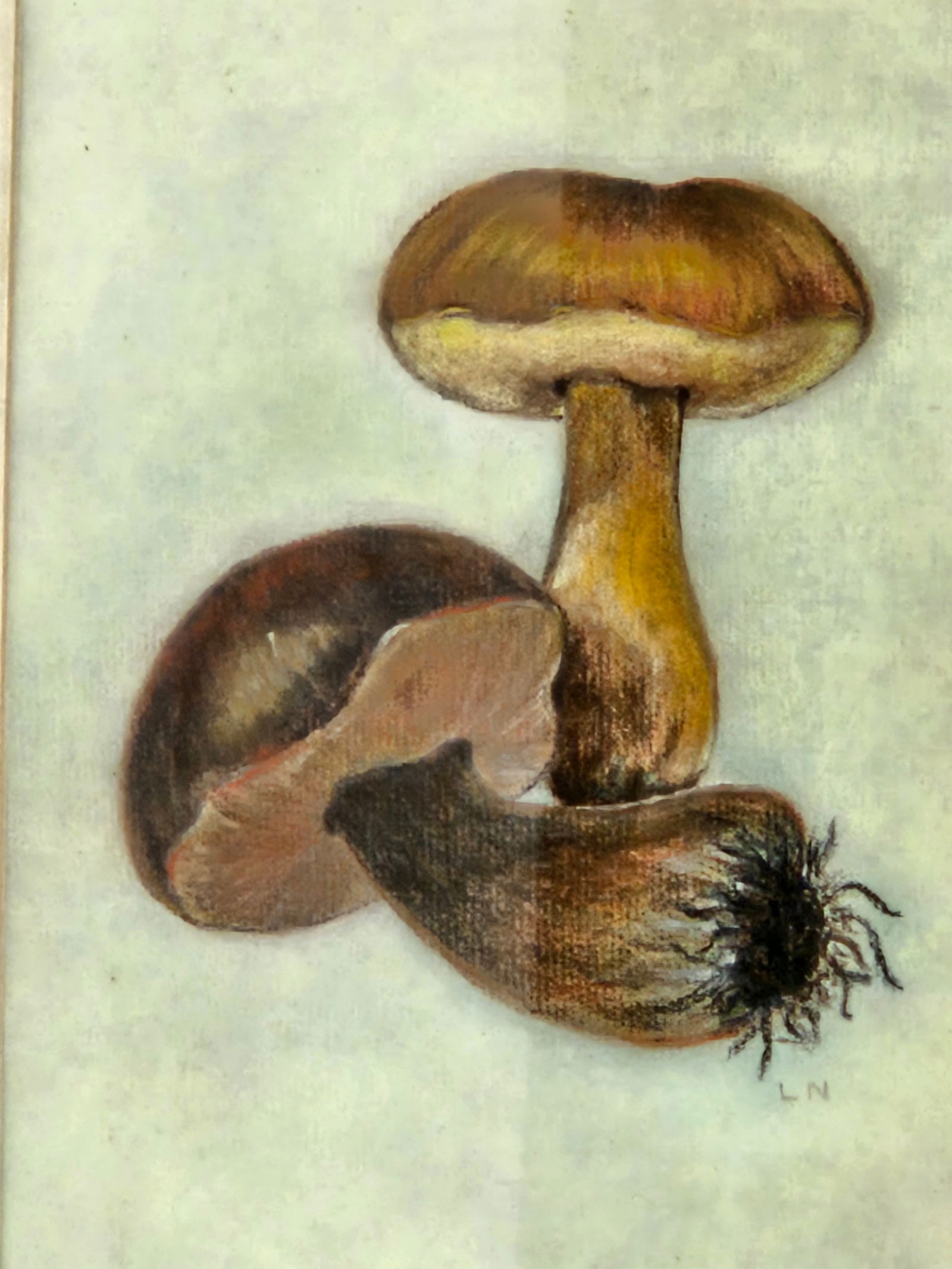 Botanical Mushroom Study — Signed “L.N. - 2