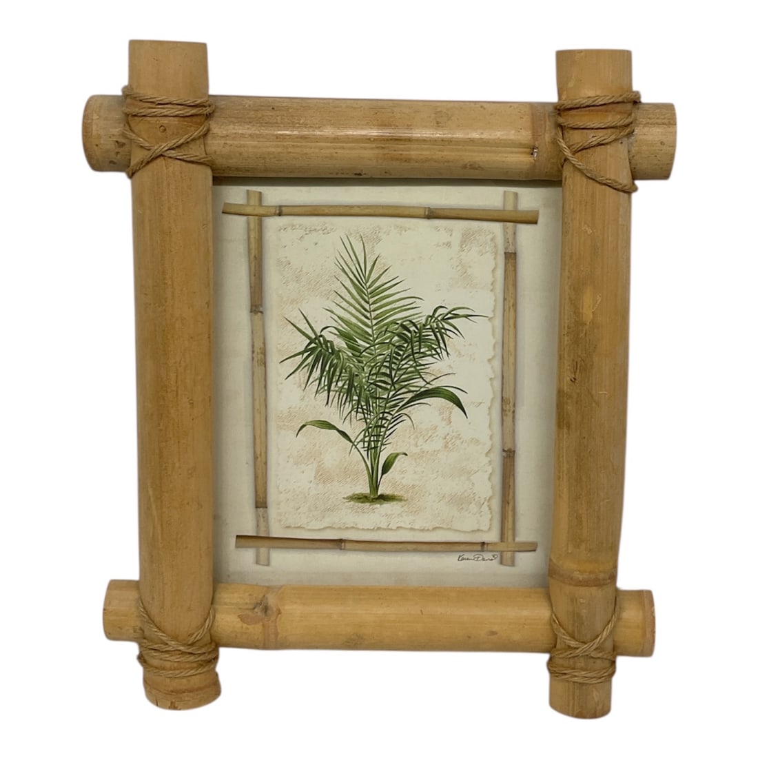 Karen Davis Framed Botanical Print in Bamboo Style Frame: This decorative framed artwork features a finely detailed botanical study depicting a graceful palm or fern-like plant, presented in a naturalistic composition. The artwork is signed Karen Davis and