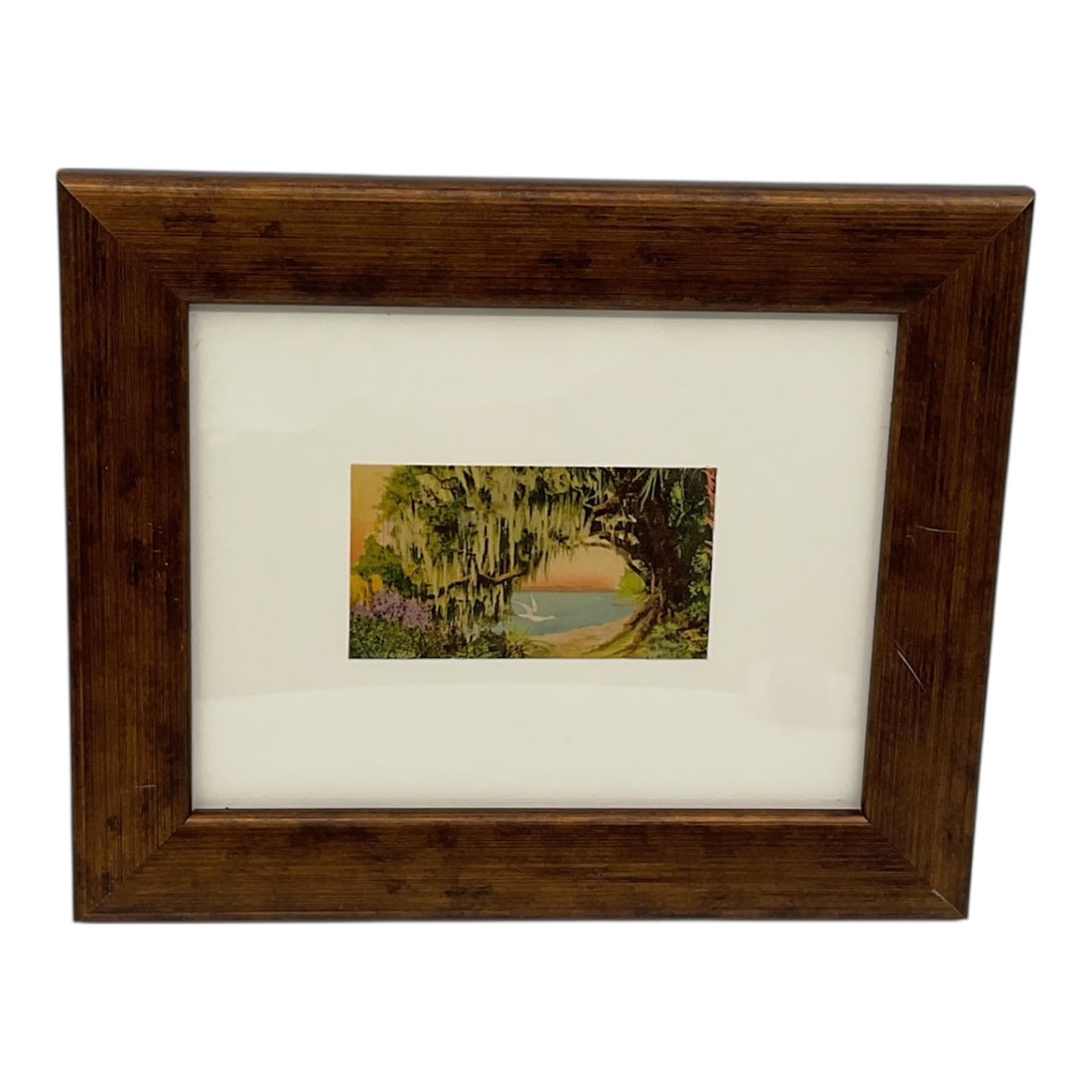 Framed Landscape Print with Moss Covered Trees and Coastal Scene: Decorative framed landscape print depicting a serene coastal view framed by moss-covered trees and lush foliage. The composition features a soft sunset sky with a shoreline and distant water, accented