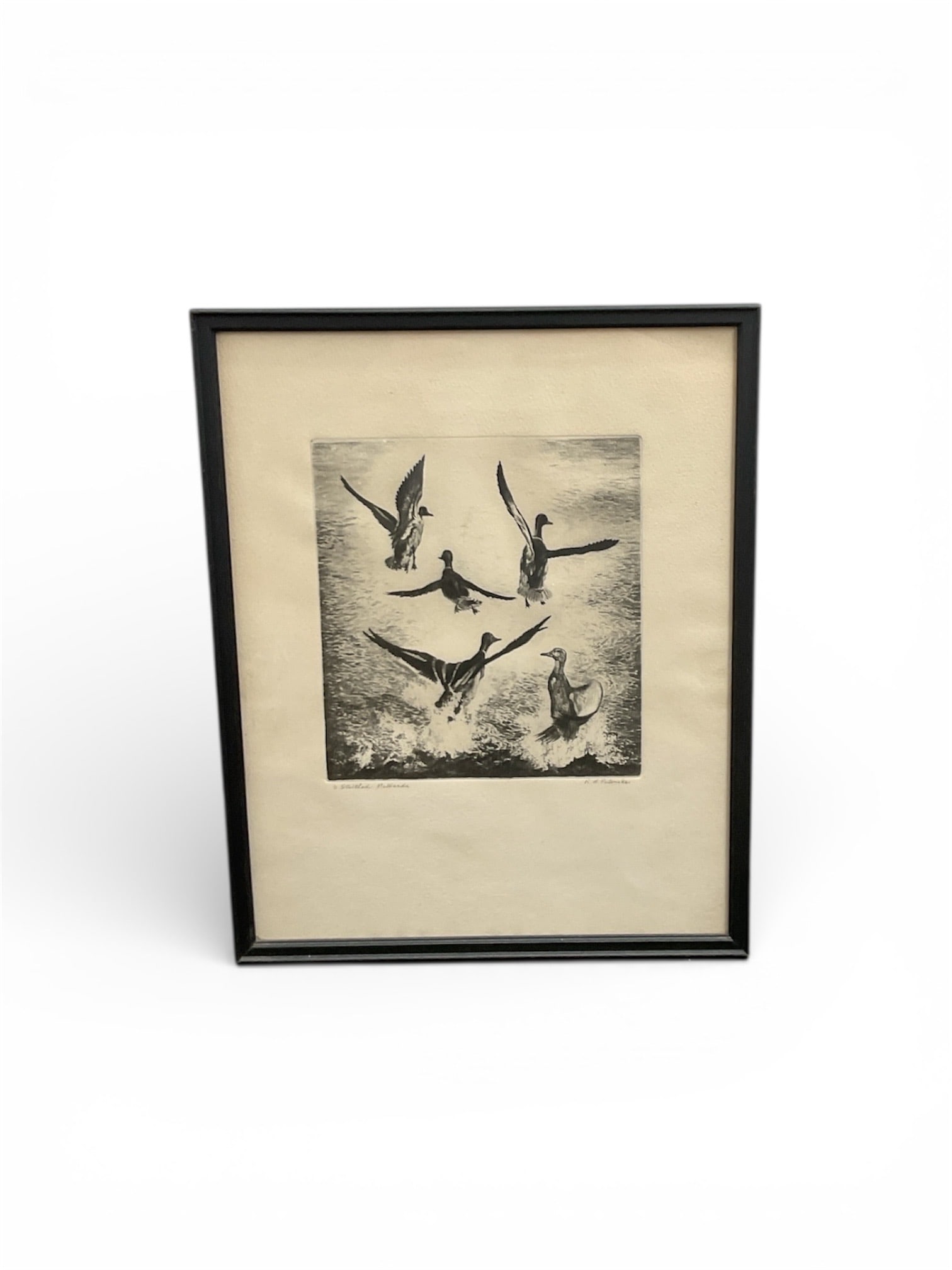 Startled Mallards by R H Palenske Framed Print: This framed print titled Startled Mallards depicts a dynamic scene of waterfowl in motion, captured with strong contrast and expressive line work. The composition shows mallards taking flight above