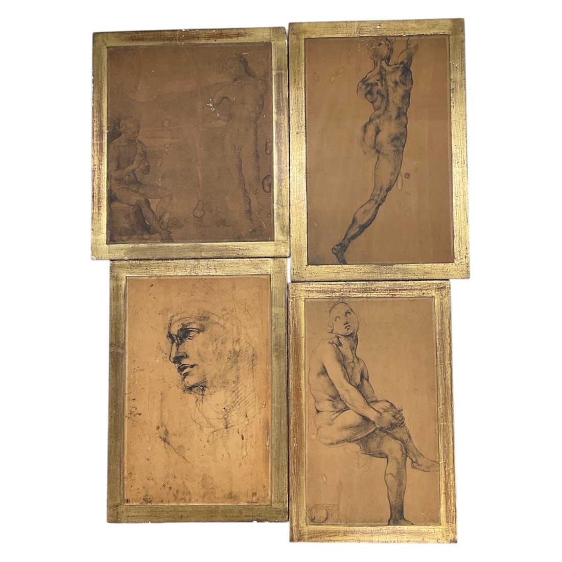 4pc Italian Renaissance Figural Study Reproduction Prints: Group of four framed reproduction prints after Renaissance master drawings, depicting classical figural studies including seated and standing nude figures and a male head study. Published by Fratelli