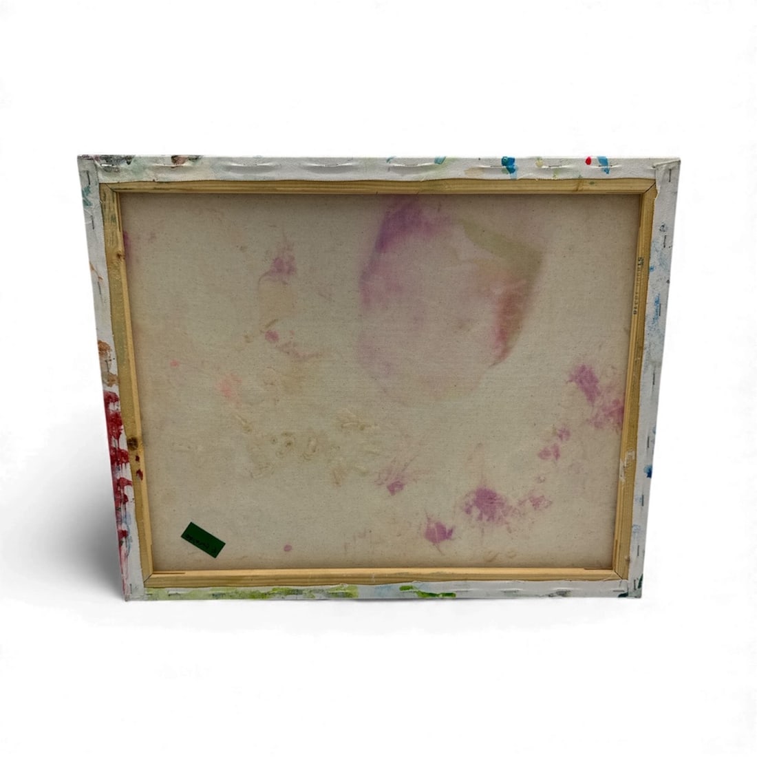 Pingo Hidden Portrait - 2