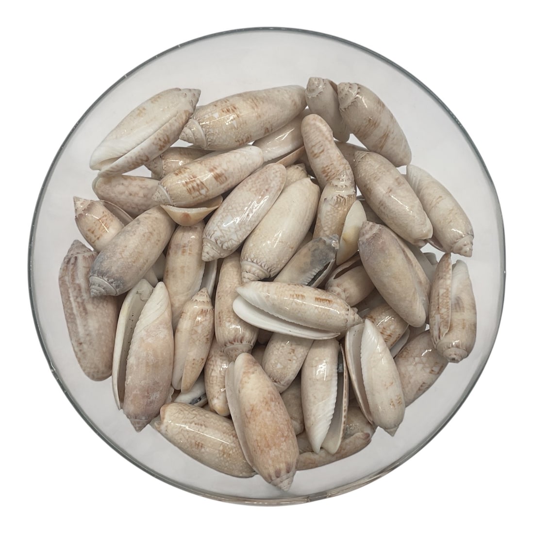 Large Shell-Filled Goblet - 2