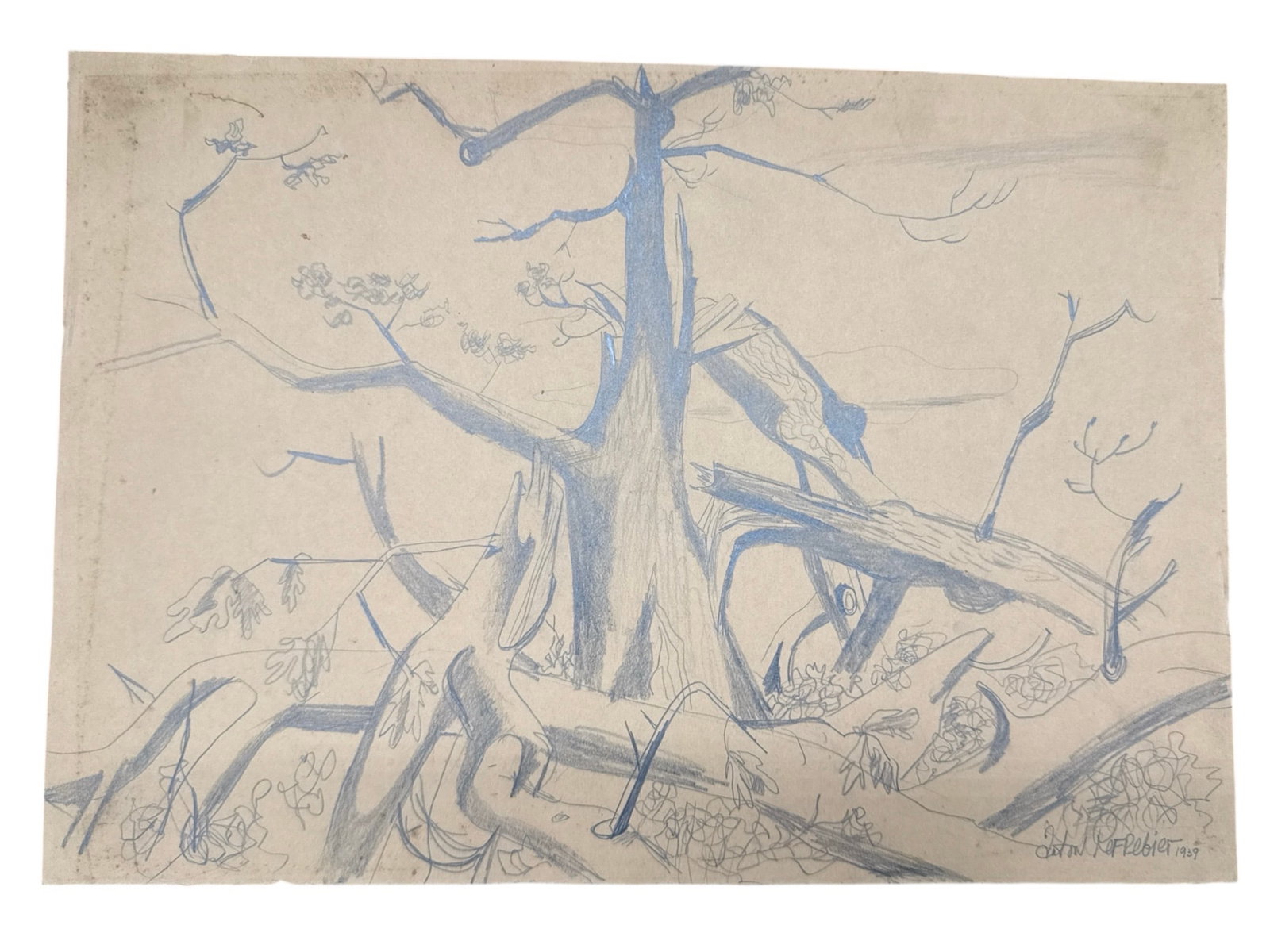 Shattered Timber by Anton Refregier (Moscow, Russia, 1905–1979) Graphite Drawing (1 of 4)