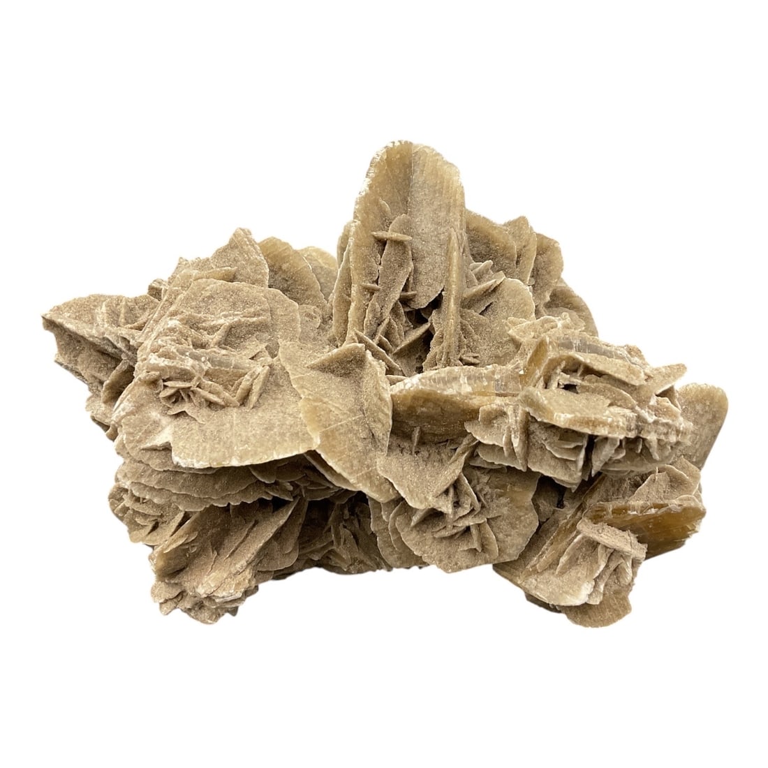 Desert Rose Crystal Specimen (1 of 3)